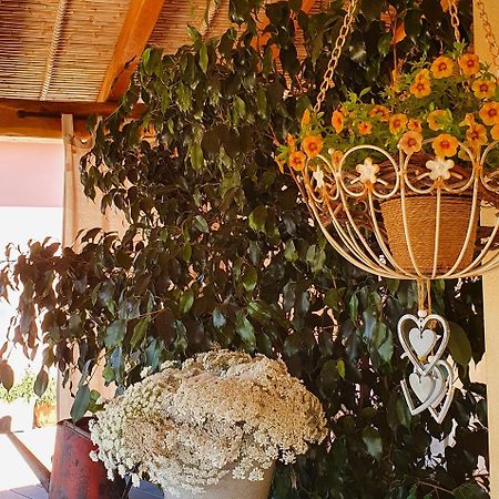 B&B La Vela Киа Экстерьер фото