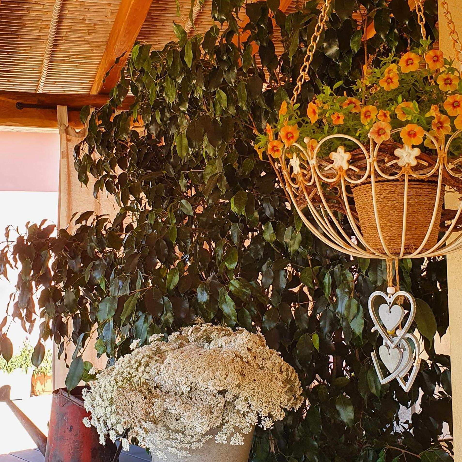 B&B La Vela Киа Экстерьер фото
