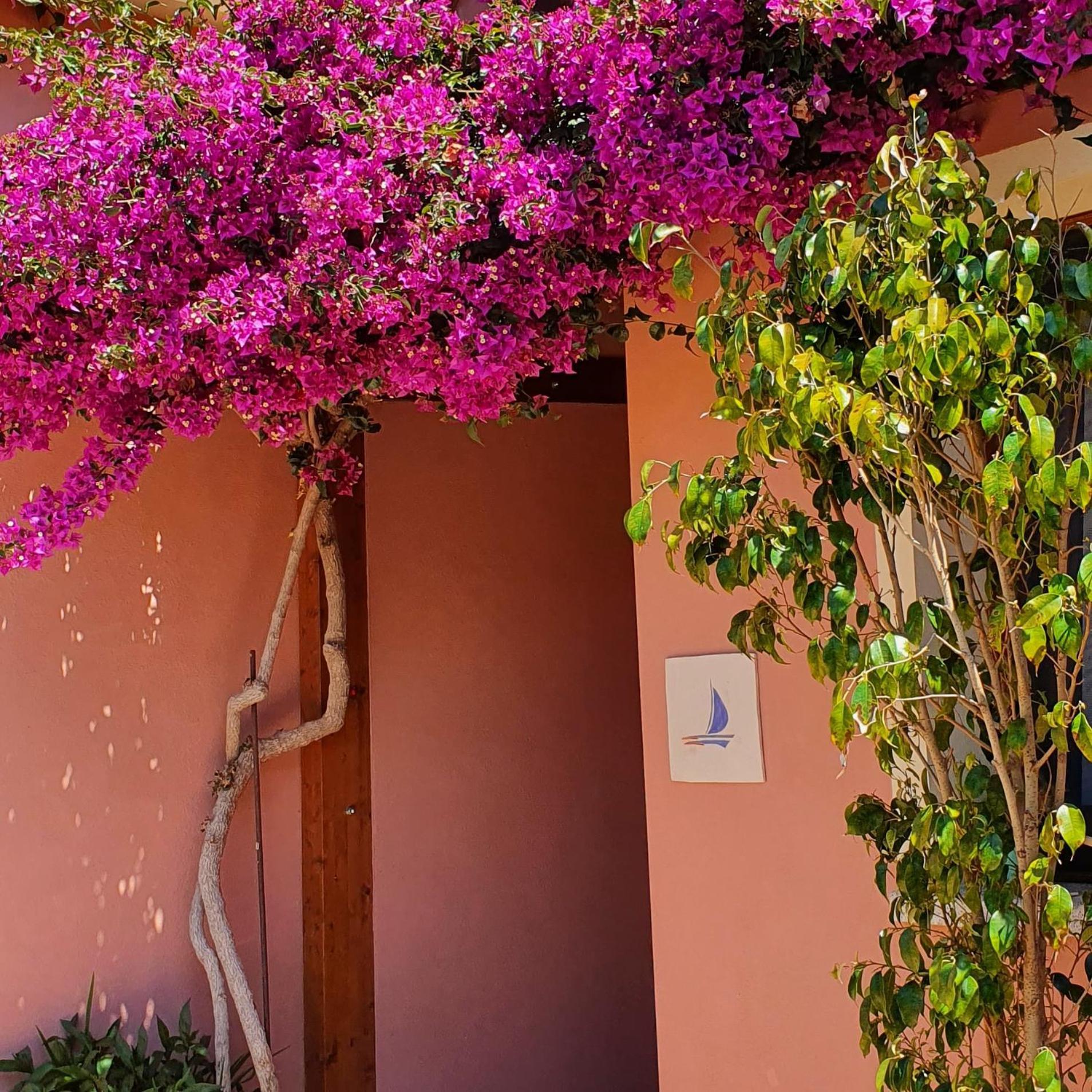 B&B La Vela Киа Экстерьер фото